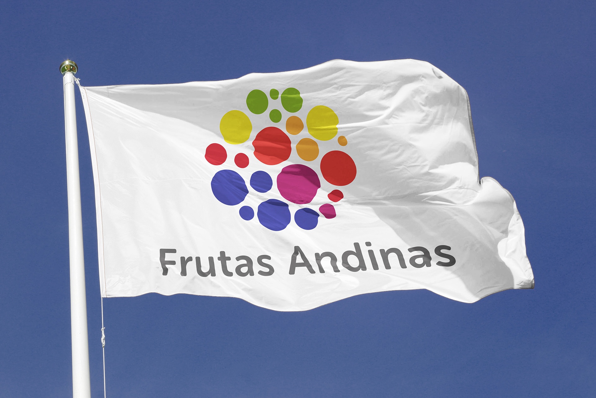 Frutas Andinas